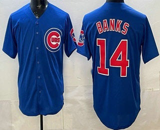 Chicago Cubs #14 Ernie Banks Blue Puhics Limited Jersey