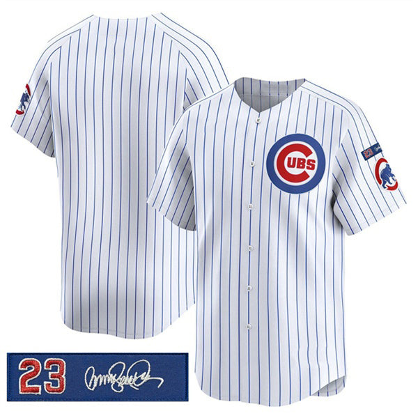 Chicago Cubs Blank White Puhics Pinstripe 'Ryne Sandberg Tribute' Vapor Limited V3 Stitched Jersey
