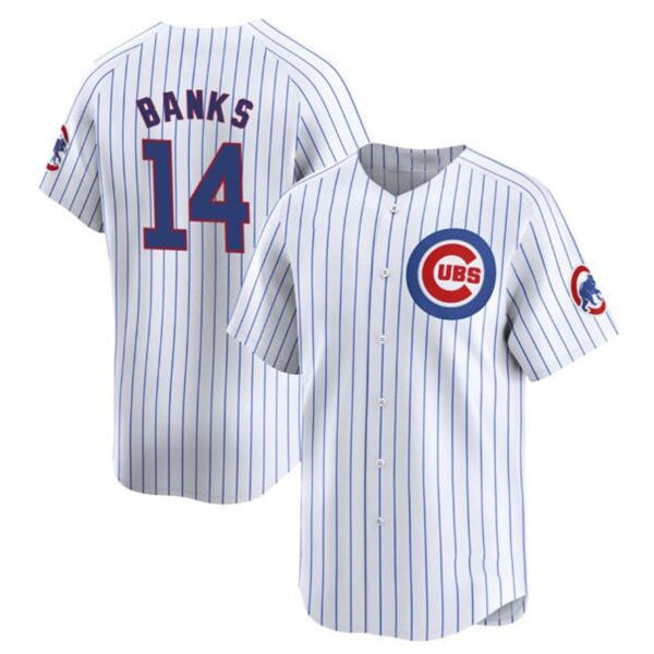 Chicago Cubs #14 Ernie Banks White Puhics Cool Base Stitched Jersey