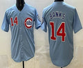 Chicago Cubs #14 Ernie Banks Baby Blue Puhics Limited Jersey