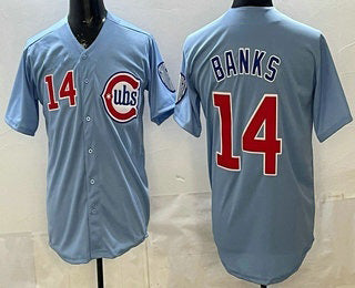 Chicago Cubs #14 Ernie Banks Baby Blue Puhics Limited Jersey